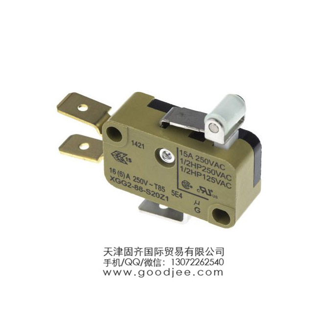 Saia-Burgess XGG2-88-S20Z1 �ε��p�S - ���_/���] �L݆�ܗU ΢���_�P