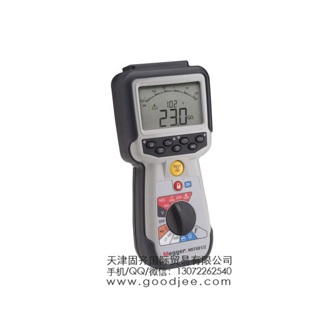 Megger MIT481 �^���yԇ�x, 100G��